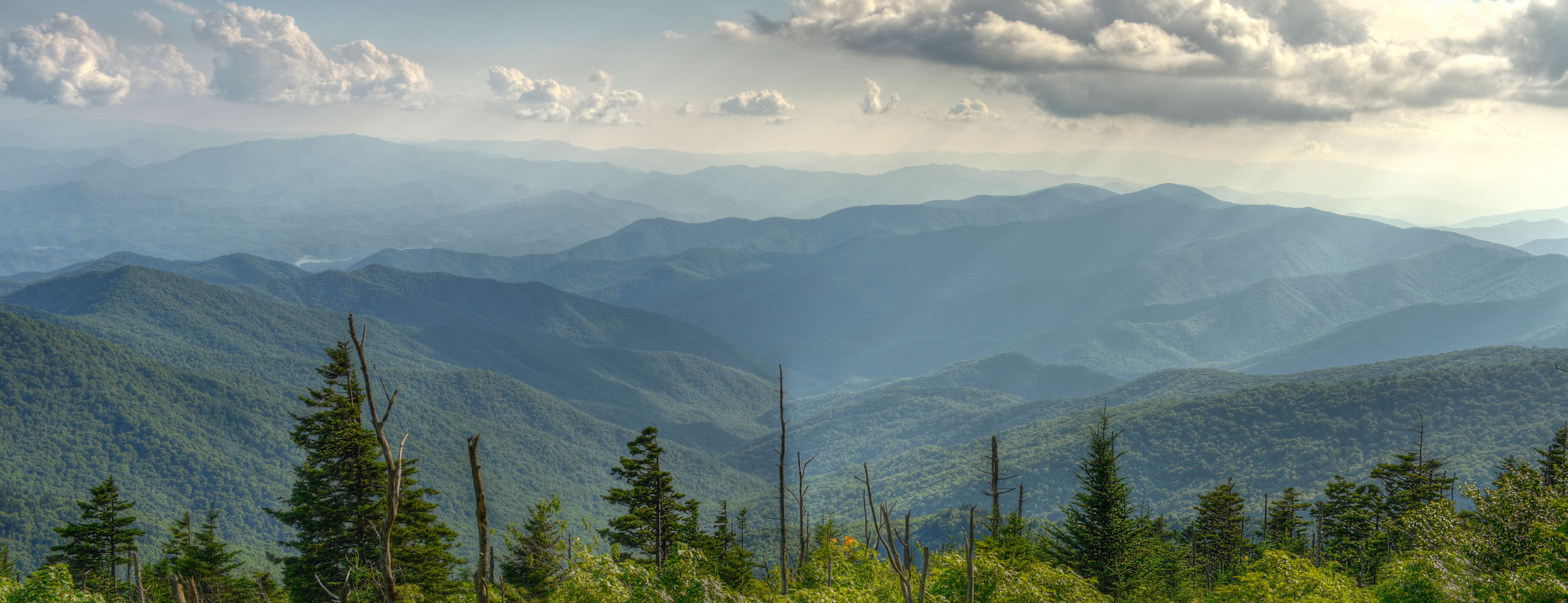 Agritec Africa Agritec Africa